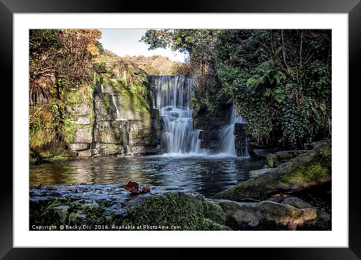 Penllergare Waterfall. Framed Mounted Print by Becky Dix