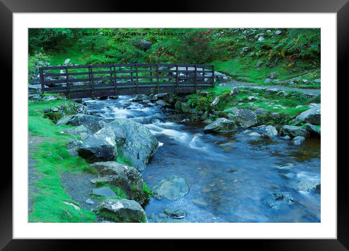 FOOT BRIDGE Framed Mounted Print by andrew saxton