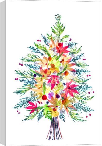 Christmas Festive Flora Canvas Print by Jacky Parker