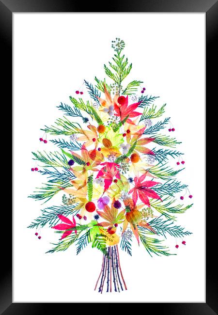 Christmas Festive Flora Framed Print by Jacky Parker