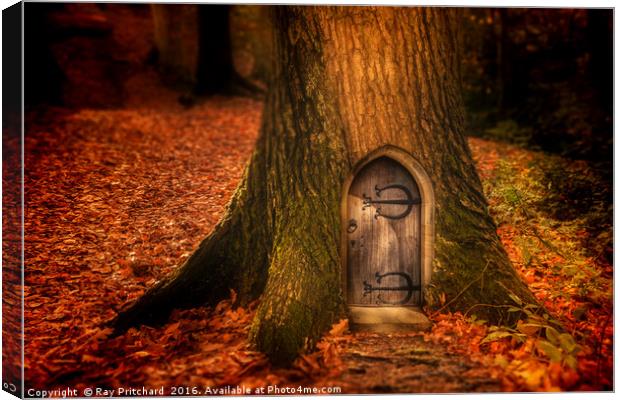 Fairydoor Canvas Print by Ray Pritchard