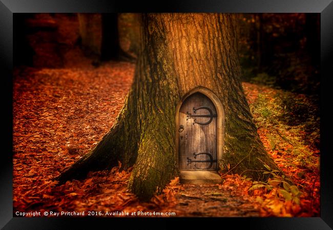 Fairydoor Framed Print by Ray Pritchard