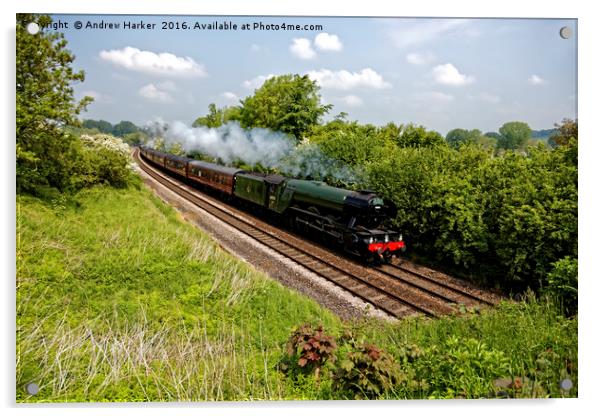 A3 Class 60103 Flying Scotsman Steam Locomotive Acrylic by Andrew Harker
