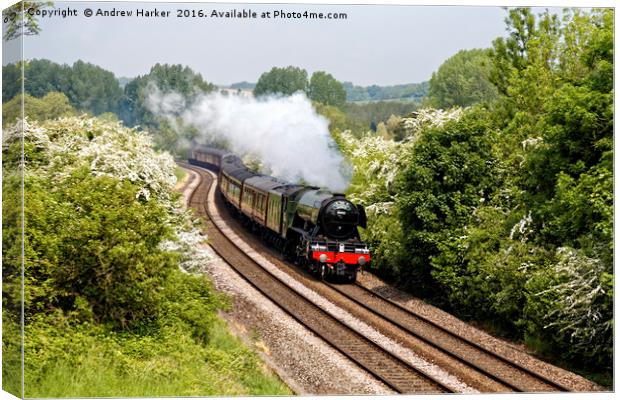 A3 Class 60103 Flying Scotsman Steam Locomotive Canvas Print by Andrew Harker