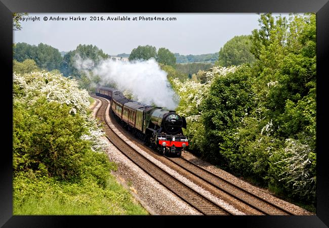 A3 Class 60103 Flying Scotsman Steam Locomotive Framed Print by Andrew Harker