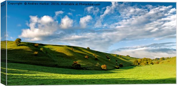 Longcombe Bottom, Bratton, Wiltshire, UK Canvas Print by Andrew Harker