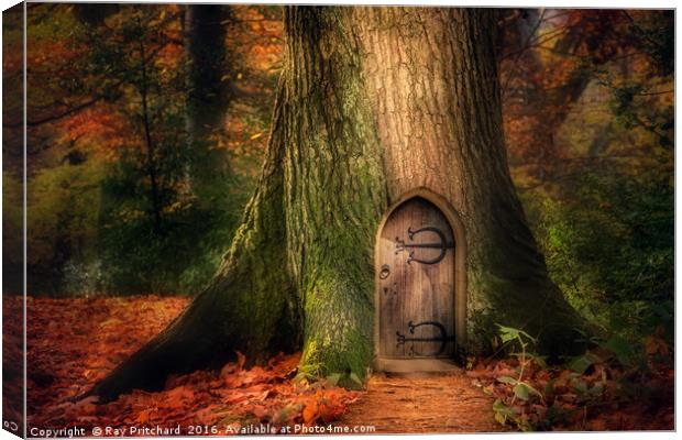 Fairydoor 2 Canvas Print by Ray Pritchard