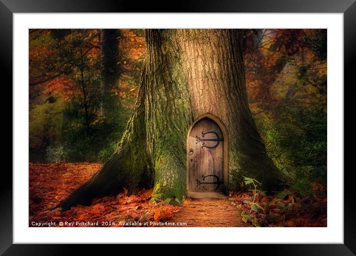 Fairydoor 2 Framed Mounted Print by Ray Pritchard