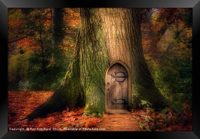 Fairydoor 2 Framed Print by Ray Pritchard