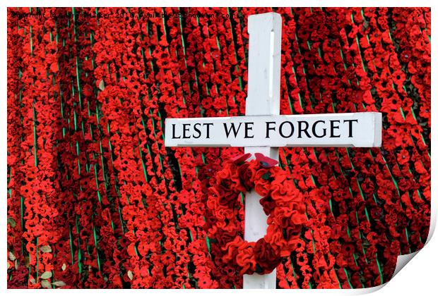 Warminster Town Hand-Knitted Poppies Print by Andrew Harker