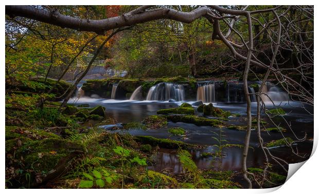 Yorkshire Bridge  Print by Paul Andrews