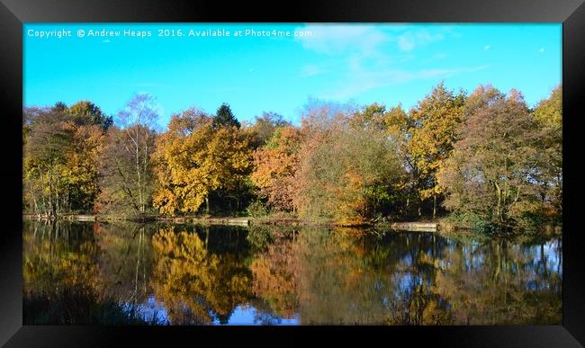 Reflections Framed Print by Andrew Heaps