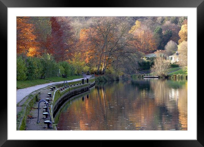 River Thames at Goring Framed Mounted Print by Tony Bates