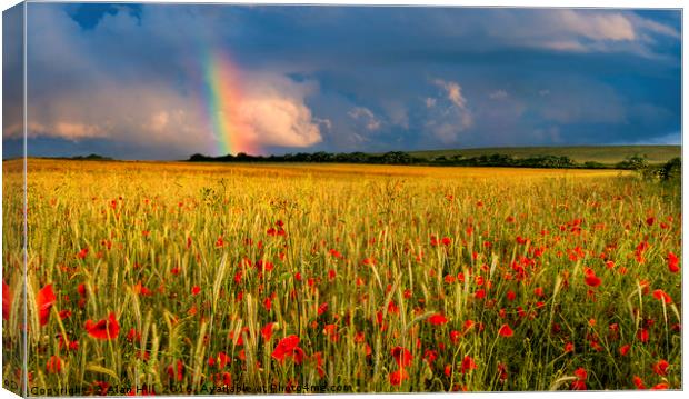 Rainbow over field of poppies at sunset Canvas Print by Alan Hill