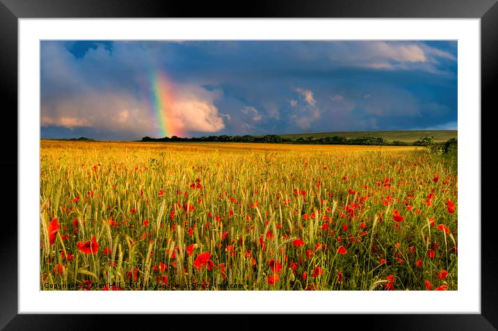 Rainbow over field of poppies at sunset Framed Mounted Print by Alan Hill