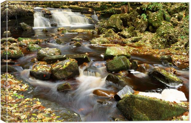 ASKRIGG LOWER FALLS Canvas Print by andrew saxton
