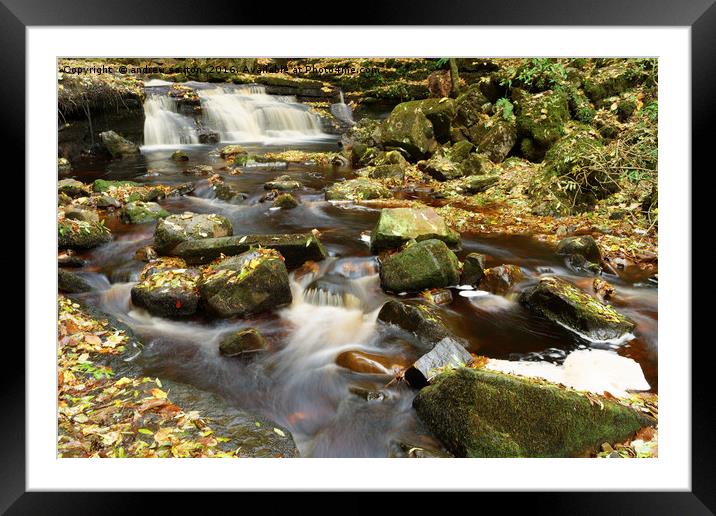 ASKRIGG LOWER FALLS Framed Mounted Print by andrew saxton