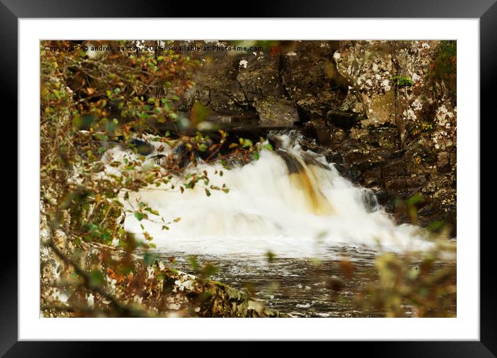 AUTUMN FALL Framed Mounted Print by andrew saxton