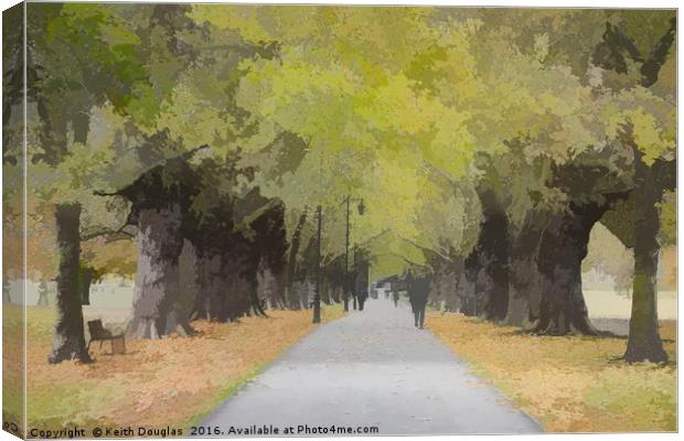 Tree lined avenue Canvas Print by Keith Douglas