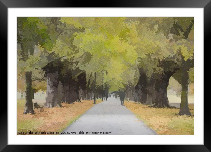 Tree lined avenue Framed Mounted Print by Keith Douglas