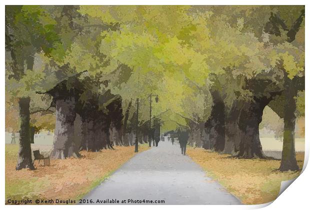 Tree lined avenue Print by Keith Douglas