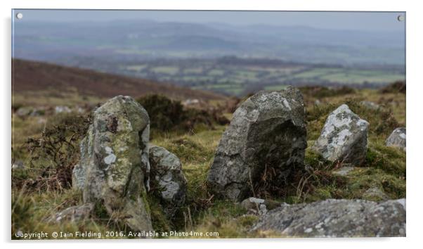 Dartmoor Stone Acrylic by Iain Fielding
