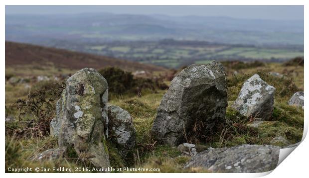 Dartmoor Stone Print by Iain Fielding