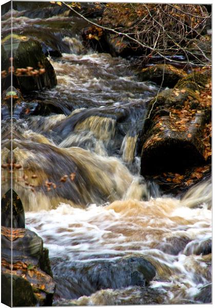 Waterfall in Cawdor Woods Canvas Print by Jacqi Elmslie