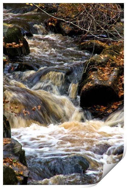 Waterfall in Cawdor Woods Print by Jacqi Elmslie