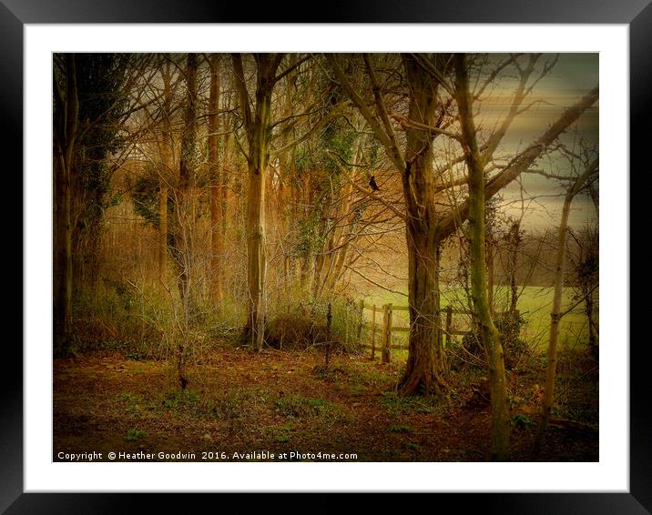 Winter Woodland. Framed Mounted Print by Heather Goodwin