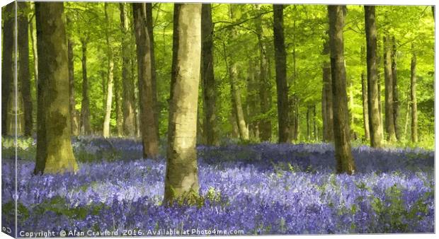 Bluebell Wood and Beech Trees Canvas Print by Alan Crawford