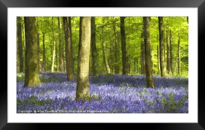 Bluebell Wood and Beech Trees Framed Mounted Print by Alan Crawford