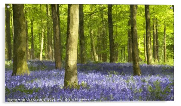 Bluebell Wood and Beech Trees Acrylic by Alan Crawford