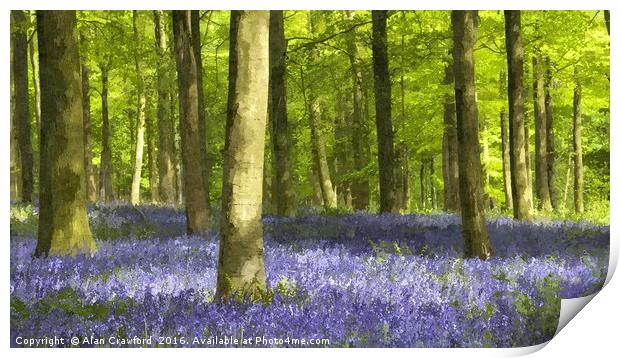 Bluebell Wood and Beech Trees Print by Alan Crawford