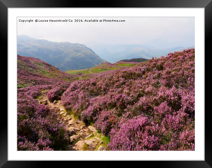 Heather on Stonethwaite Fell below High Crag and L Framed Mounted Print by Louise Heusinkveld