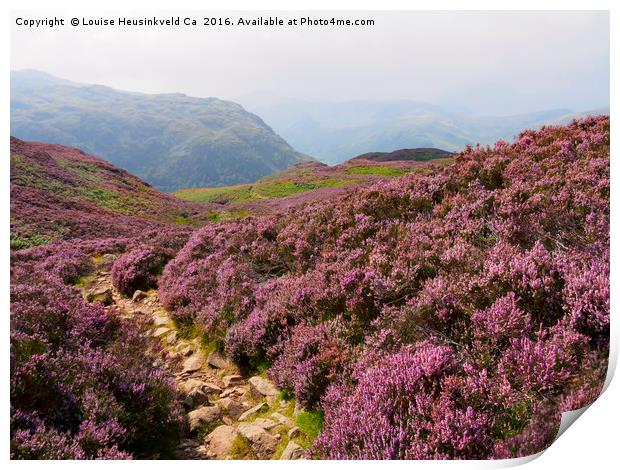 Heather on Stonethwaite Fell below High Crag and L Print by Louise Heusinkveld