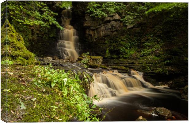 Mill Fall of Askrigg Canvas Print by Thomas Schaeffer