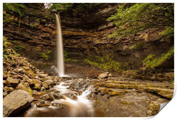 Hardraw Falls Print by Thomas Schaeffer