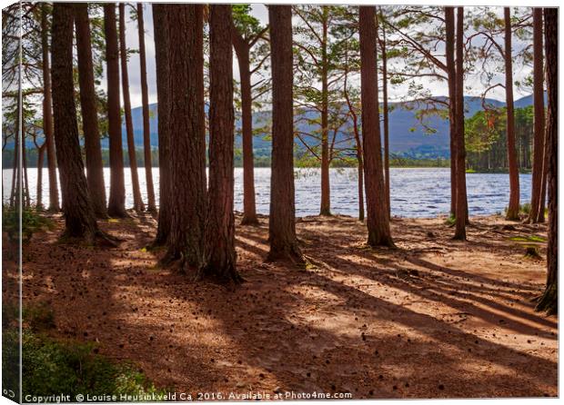 Loch Garten and the Abernethy Forest, Cairngorms,  Canvas Print by Louise Heusinkveld