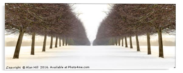 Snowy avenue of trees in winter Acrylic by Alan Hill