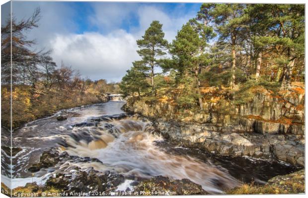 Low Force in Teesdale Canvas Print by AMANDA AINSLEY