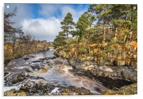 Low Force in Teesdale Acrylic by AMANDA AINSLEY