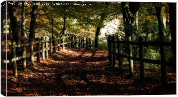 Forest path in Autumn Canvas Print by Liz Ward