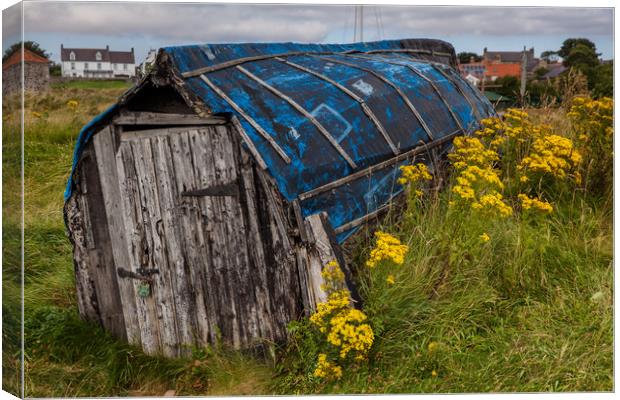 Boat shed Canvas Print by Thomas Schaeffer