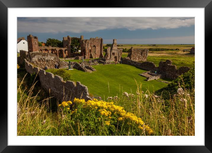 Lindisfarne Priory Framed Mounted Print by Thomas Schaeffer
