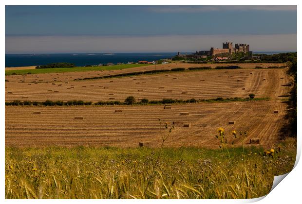 Bamburgh Castle Print by Thomas Schaeffer