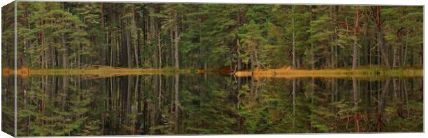 Panoramic tree line reflection Canvas Print by Michael Hopes