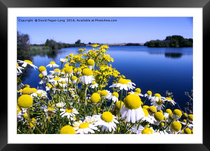 British Summer Time Framed Mounted Print by Dave Fegan-Long