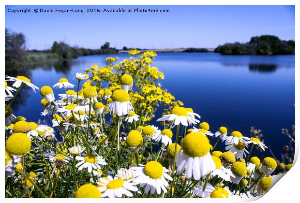 British Summer Time Print by Dave Fegan-Long