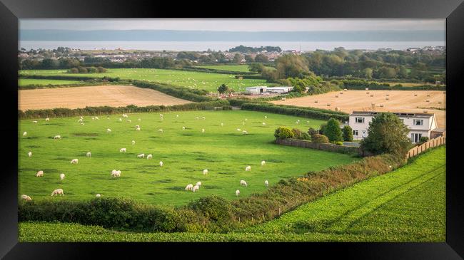 Welsh View Framed Print by Purple OneTwoEight